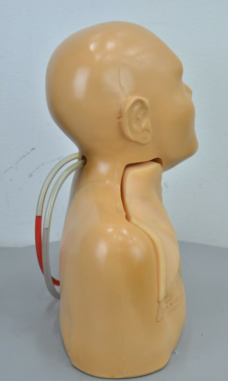CAE Blue Phantom Ultrasound Central Line Training Model Rhino Trade LLC