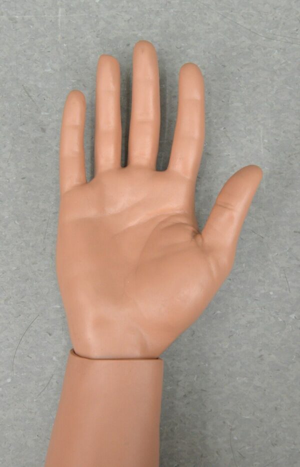 Lot of 2 Laerdal Nursing Kelly Arms, Right and Left