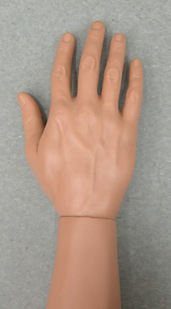 Lot of 2 Laerdal Nursing Kelly Arms, Right and Left