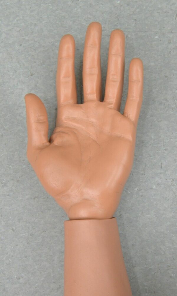Lot of 2 Laerdal Nursing Kelly Arms, Right and Left