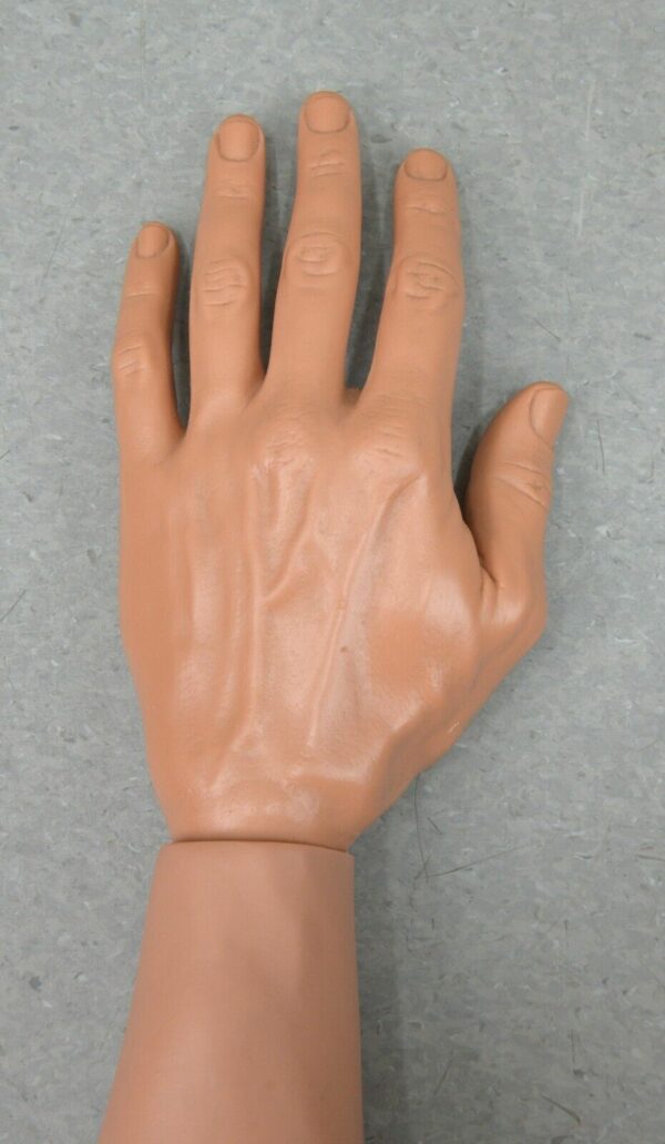 Lot of 2 Laerdal Nursing Kelly Arms, Right and Left