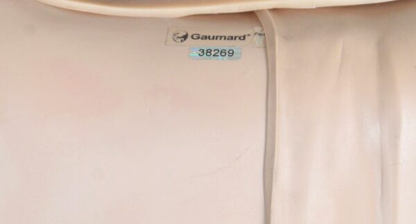 Gaumard Pediatric Hal 5yr old Manikin Simulator