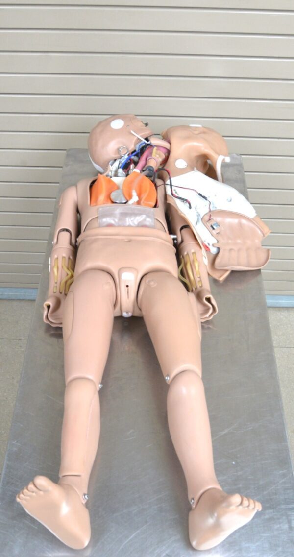 Gaumard Pediatric Hal 5yr old Manikin Simulator