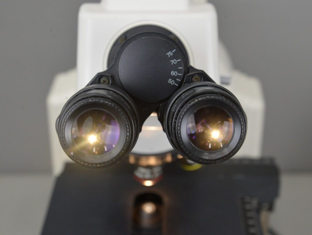Nikon E400 Eclipse Binocular Compound Upright Microscope & 4x 10x 40x