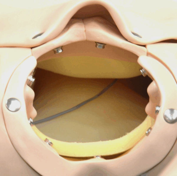 Gaumard S550/S551 Noelle Maternal & Neonatal Care Birthing Simulator
