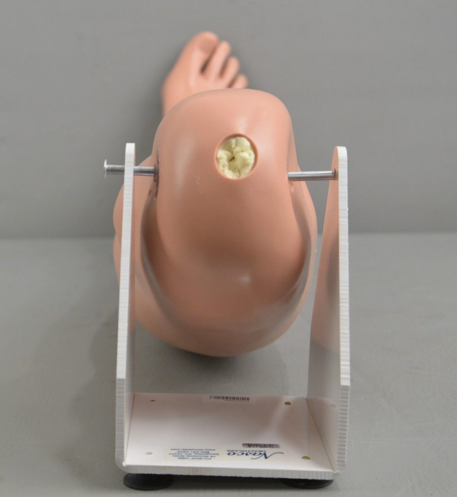 Nasco Healthcare Simulaids Intraosseous Leg Adult STAT Simulator ...