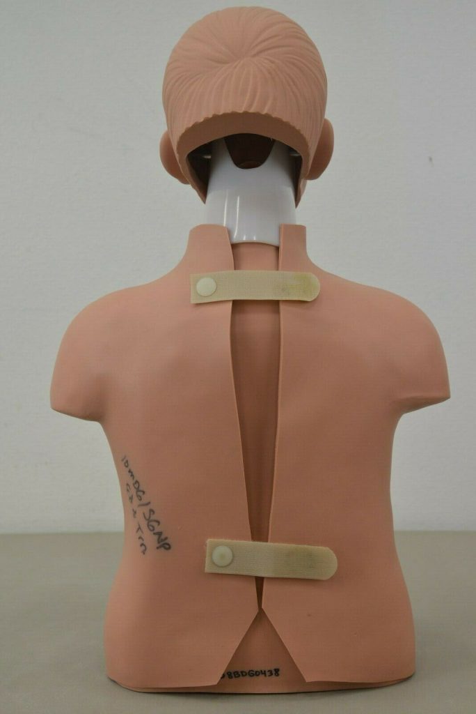 Simulaids Jr Male CPR Training Torso Manikin (18644 K13) Rhino Trade LLC