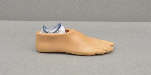 Blatchford Echelon Prosthetic Foot L8 W/ APC Receiver and Foot Shell Size 28