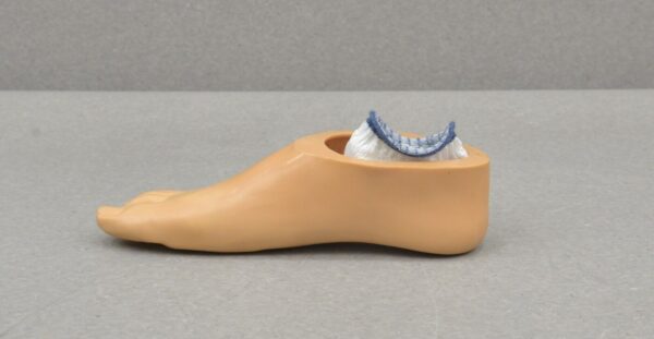 Blatchford Echelon Prosthetic Foot L8 W/ APC Receiver and Foot Shell Size 28