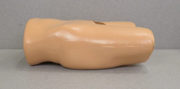 Blue Phantom Scrotal Ultrasound Training Model