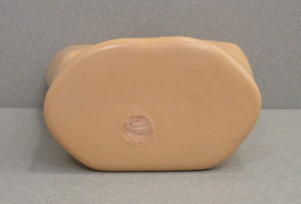 Blue Phantom Scrotal Ultrasound Training Model