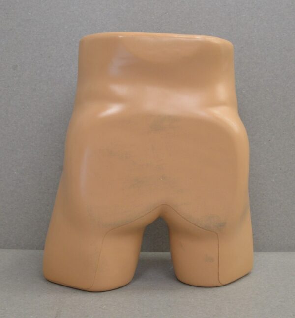 Blue Phantom Scrotal Ultrasound Training Model